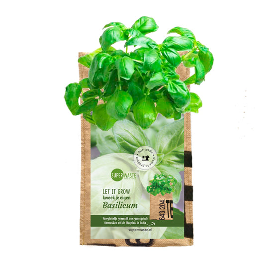 Recycled hangtuintje Basilicum in fairtrade bloempot