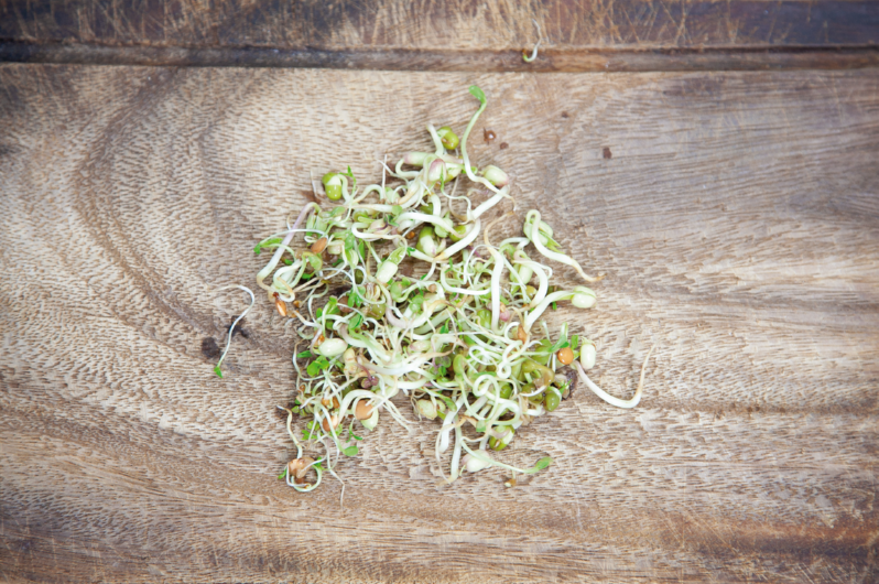 Sprouting pot Salademix, biologische kiemgroenten