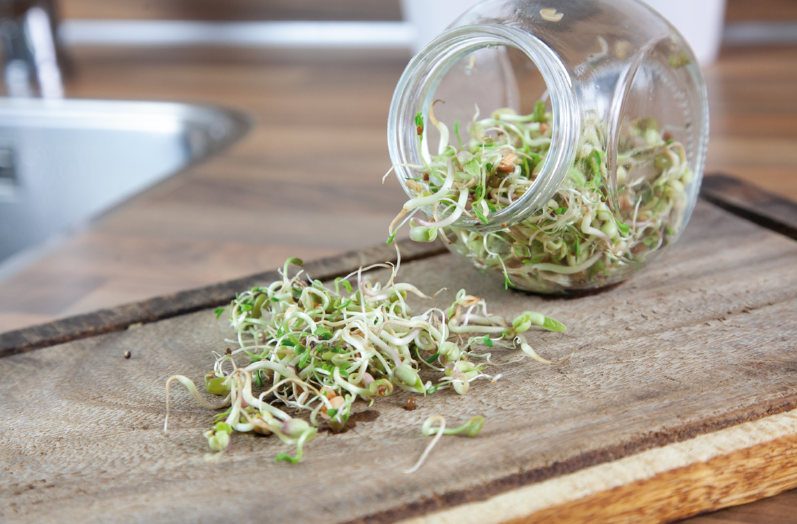 Sprouting pot Salademix, biologische kiemgroenten