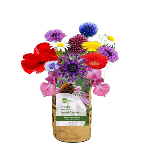 Recycled kweektuintje Bijenbloemen in fairtrade bloempot