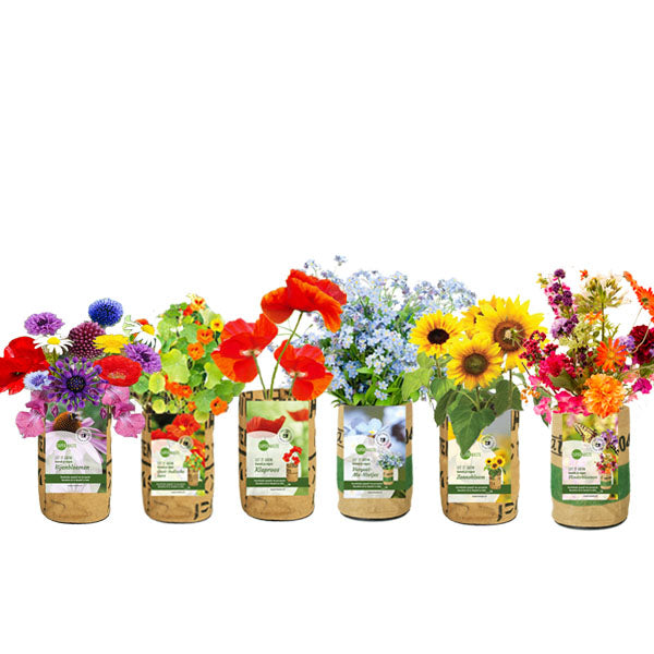Recycled kweektuintje Bijenbloemen in fairtrade bloempot