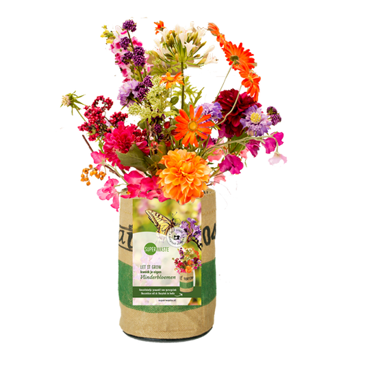 Recycled kweektuintje Vlinderbloemen in fairtrade bloempot